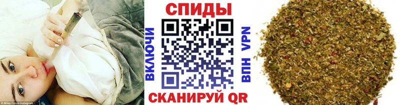 ОМГ ОМГ как войти  Ярославль  БУТИРАТ буратино 