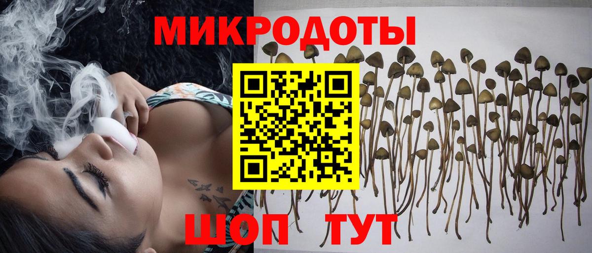 Псилоцибиновые грибы GOLDEN TEACHER Ярославль