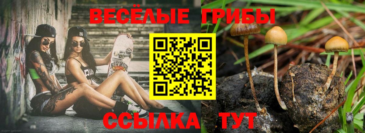 Ярославль  Галлюциногенные грибы MAGIC MUSHROOMS  Псилоцибиновые грибы Psilocybine cubensis  Вход с VPN 